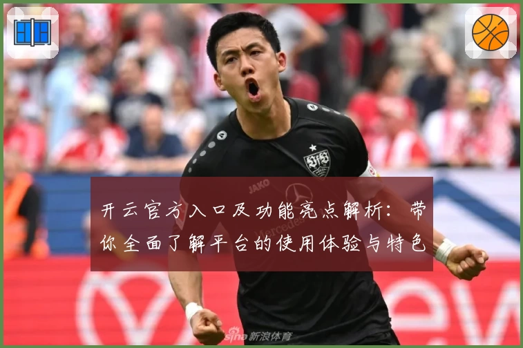 开云官方入口及功能亮点解析：带你全面了解平台的使用体验与特色